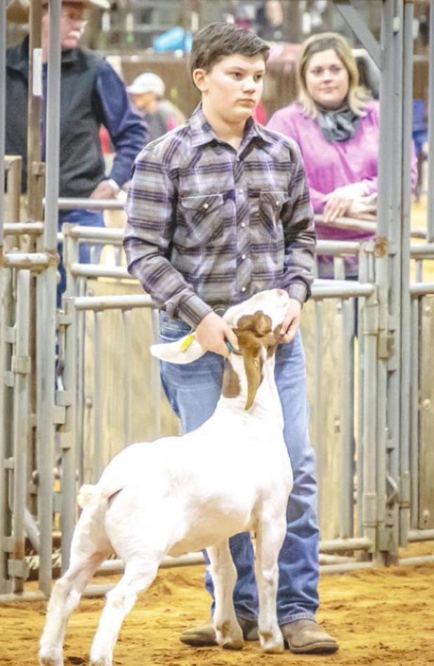 Cooper Clayton, Newcastle FFA, placed 2nd in the Goat Medium Weight Class 4 Division