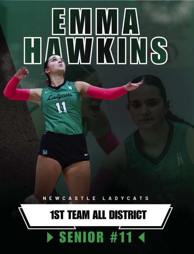 LadyCats Players Named to All-District Teams