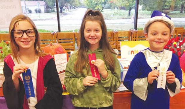 40th Annual Pumpkin Contest Winners