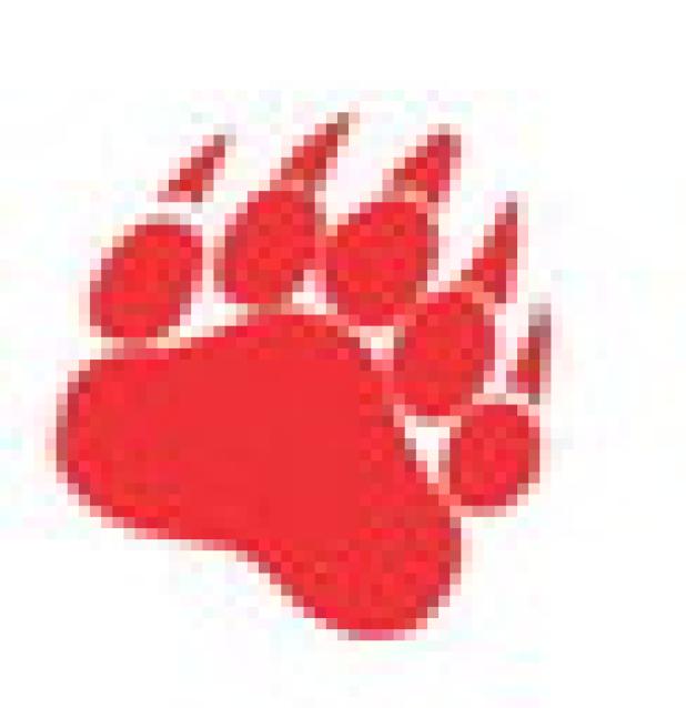 Cubs Hoopers Prep for Success