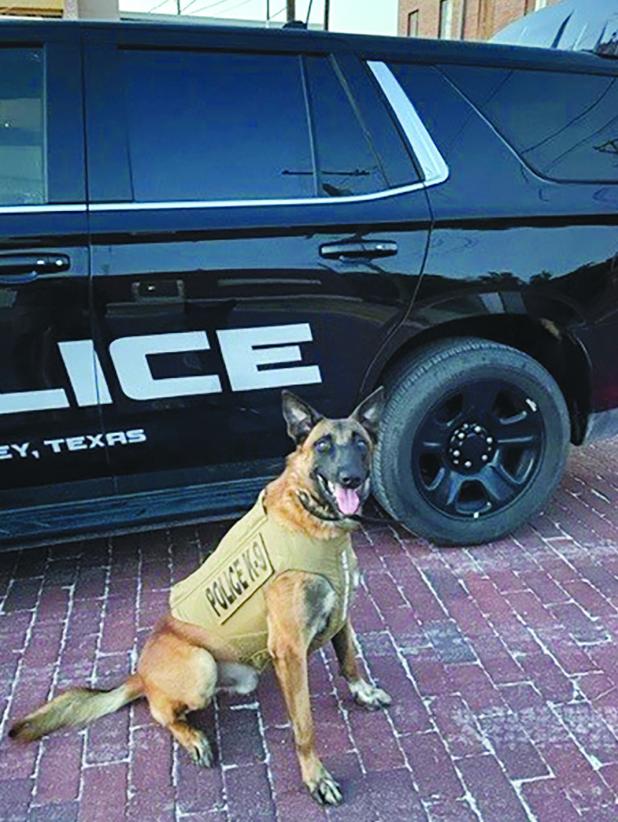 Olney Pd K9 Officer Bond Receives Donated Body Armor Olney Enterprise