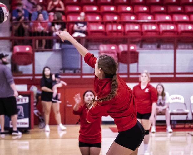 Lady Cubs’ season openers