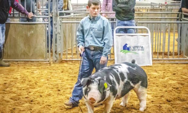 August Ikert (Olney FFA) placed 4th in Duroc Class 4, 2nd in Spot Class9 and 5th Dark Cross Class 18 in the Swine Division
