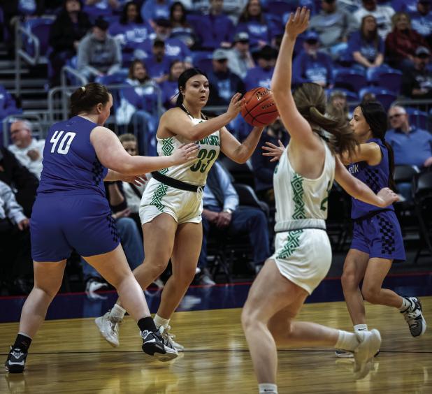 Ladycats take 1A State Championship at Alamodome with team unity