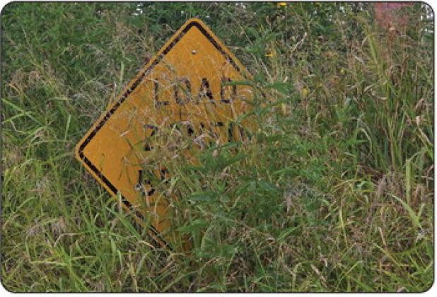 Concerned Precinct 3 citizens sent photos of high grass along County roads, worried about fire and accident dangers. (Above) High weeds along True Road. (Below): A sign on C. Stowe Road obscured by weeds. Photos sent in by Precinct 3 residents