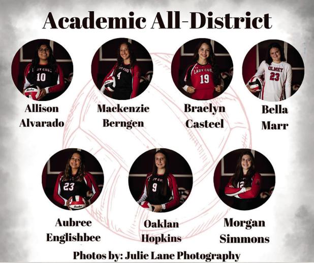 Lady Cubs District Honors