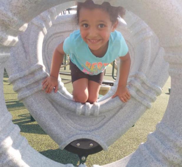 New Park Equipment