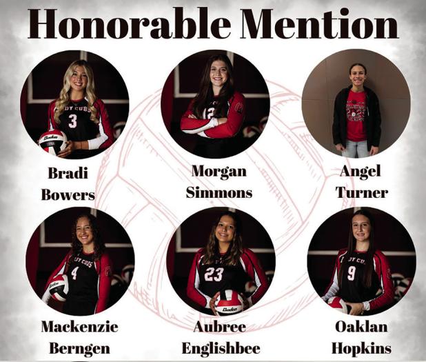 Lady Cubs District Honors