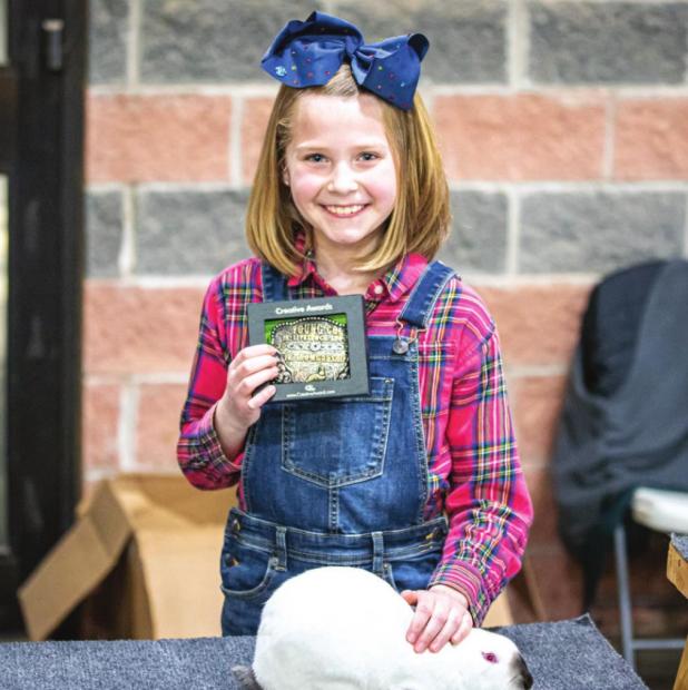Youth Shine at the 2022 Junior Live Stock Show