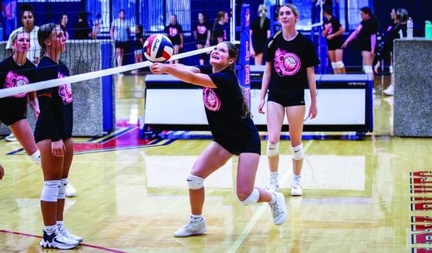 A Ladycat’s quick reflexes saves a kill shot. Photo by Will Sadler