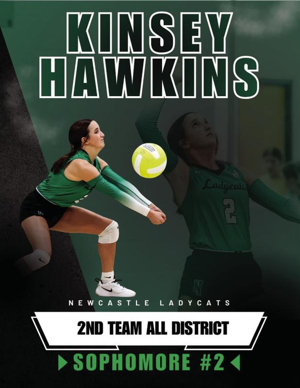 LadyCats Players Named to All-District Teams