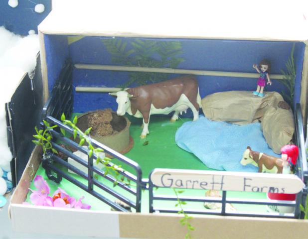 OES Second Grade Dioramas