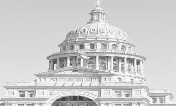 TEXAS PRESS ASSOCIATION STATE CAPITAL HIGHLIGHTS