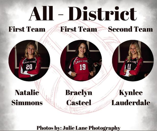 Lady Cubs District Honors
