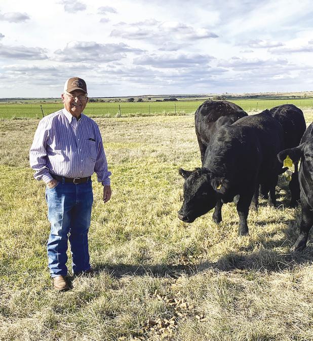 Jim Myers plants 63rd wheat crop