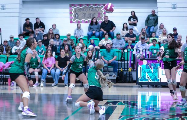 NHS Ladycat #5 Allison Melton with a dig against the Lady Longhorns.