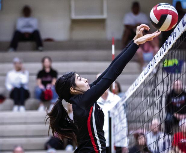 Volleyball District Honors