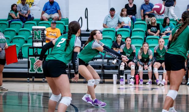 Ladycat #12 Greenleigh Moore with a dig against the Lady Rabbits. Photo by Will Sadler