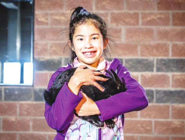 This year’s art category had many young artists with a plethora of photos, pound cakes, dresses, paints and there was even Legos this year. Pictured is Olney FFA member Gabby Musgrave Reserve Grand Champion, holding her prize rabbit. She won first place in two categories, second place also in two categories, third place, fourth place, fifth place and one participation ribbon for her photography entrees.
