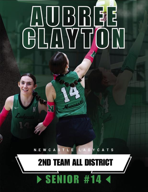 LadyCats Players Named to All-District Teams