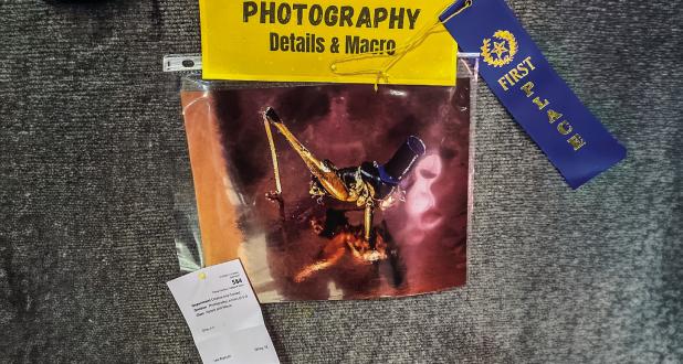 Ella Lopez, Newcastle 4-H Junior Division First Place Creative Arts Photography Silhouette Photo by Will Sadler