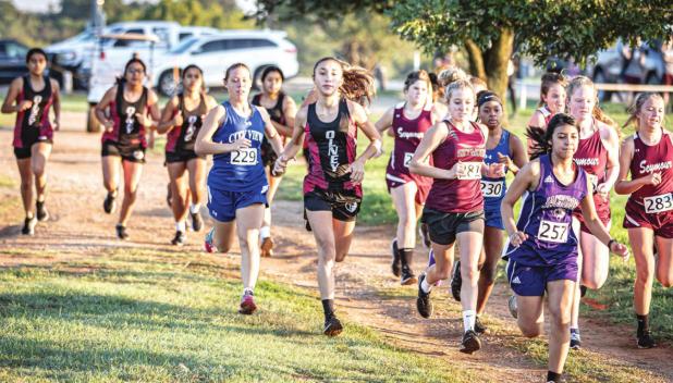 X-Country Cubs Meet at