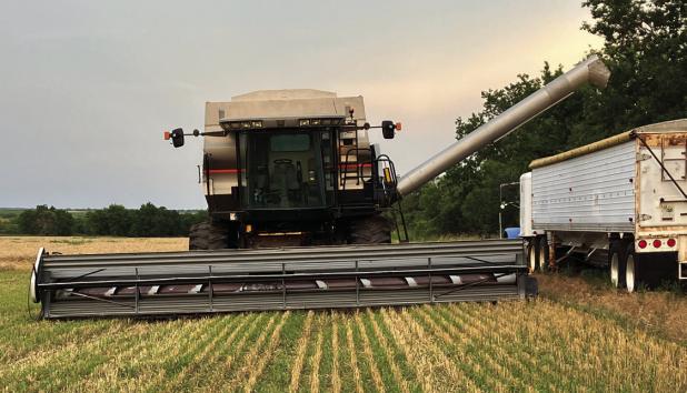 Rain delays harvest