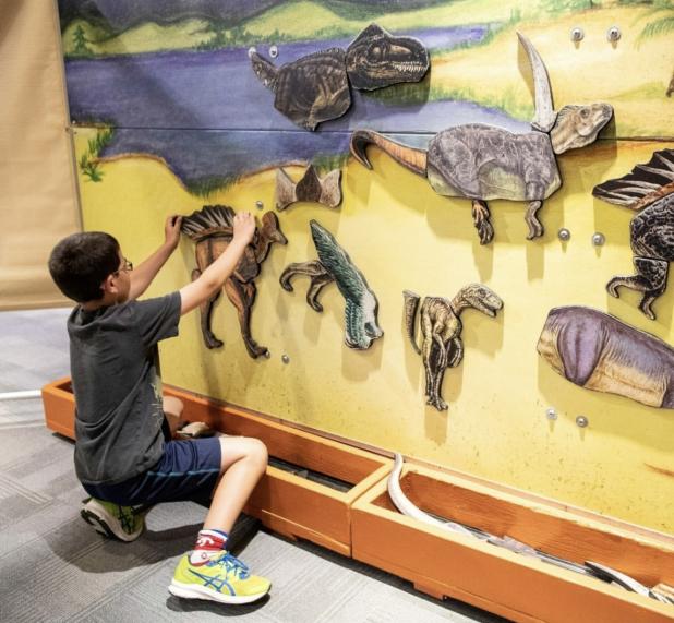 A young visitor to the Dinosaur Revolution tries assembling a dinosaur at one of the hands-on exhibits at the Dinosaur Revolution at The Old Post Office in Graham. Photo provided by The Old Post Office