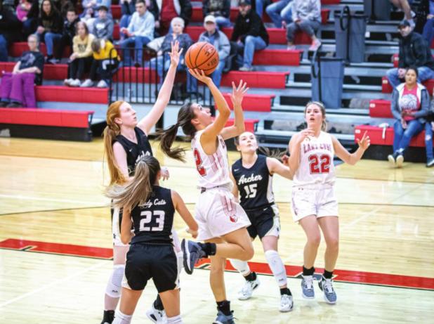 Lady Cubs vs Cats