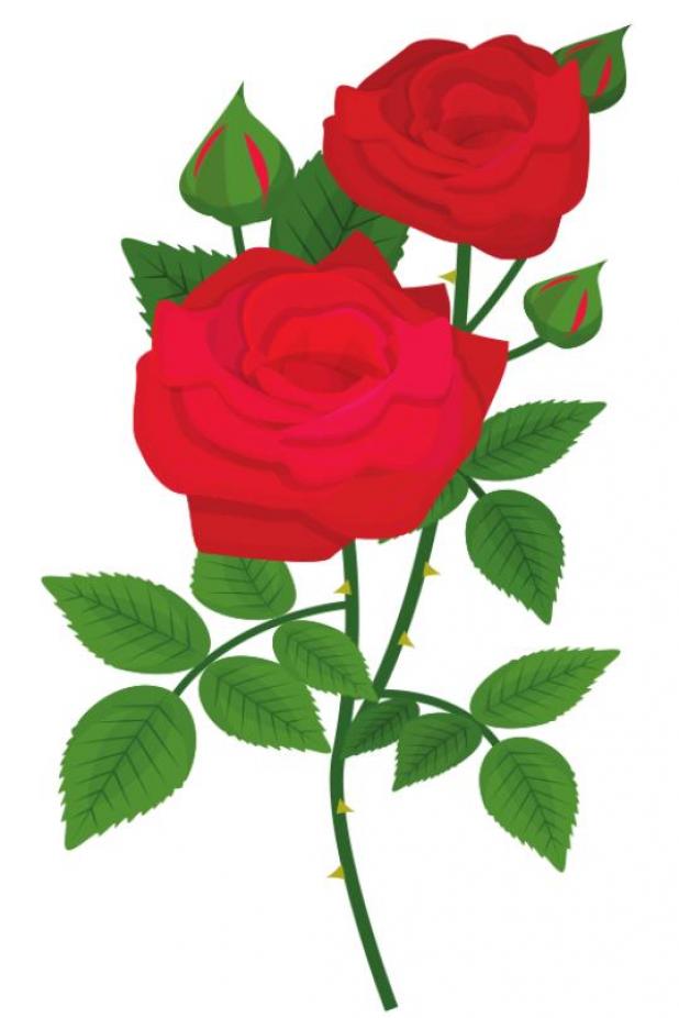 Refuge hosts Painting Class