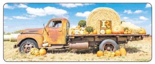 Will B. Visiting The Great Pumpkin, Charlie Brown