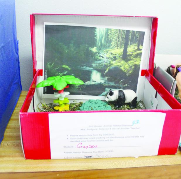 OES Second Grade Dioramas