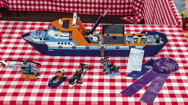 Casen Jackson, Olney 4-H Peewee Grand Champion Creative Arts Legos Photo by Will Sadler