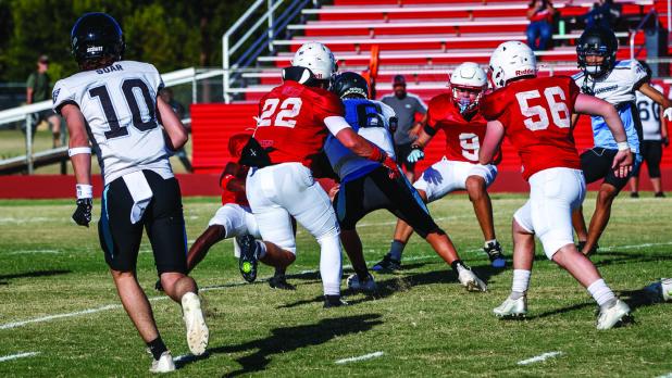 The Cub defense is on the prowl this season with a swarm mentality. Photo by Will Sadler