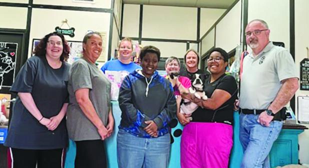 Seized dogs sent to Missouri rescue organization