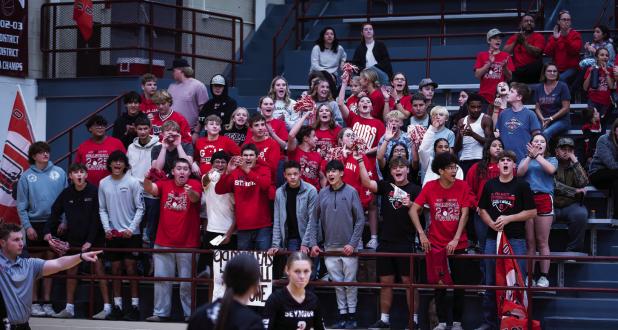 The seventh member of the Lady Cubs was the fans during the playoff matchup with the Lady Panthers. Photo by Will Sadler
