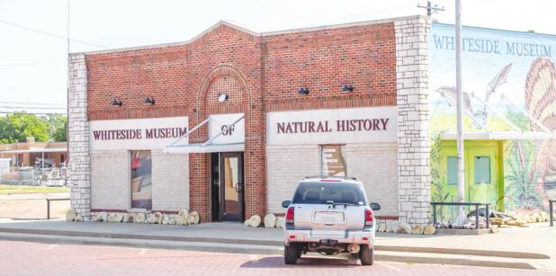 Support Local Museums Whiteside Museum of Natual History