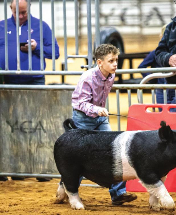 Youth Shine at the 2022 Junior Live Stock Show