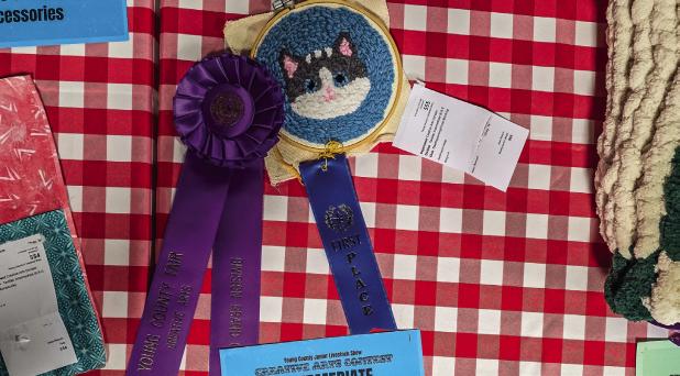Jessa Branum, Olney 4-H Intermediate Division Grand Champion Creative Arts Textiles. Photo by Will Sadler
