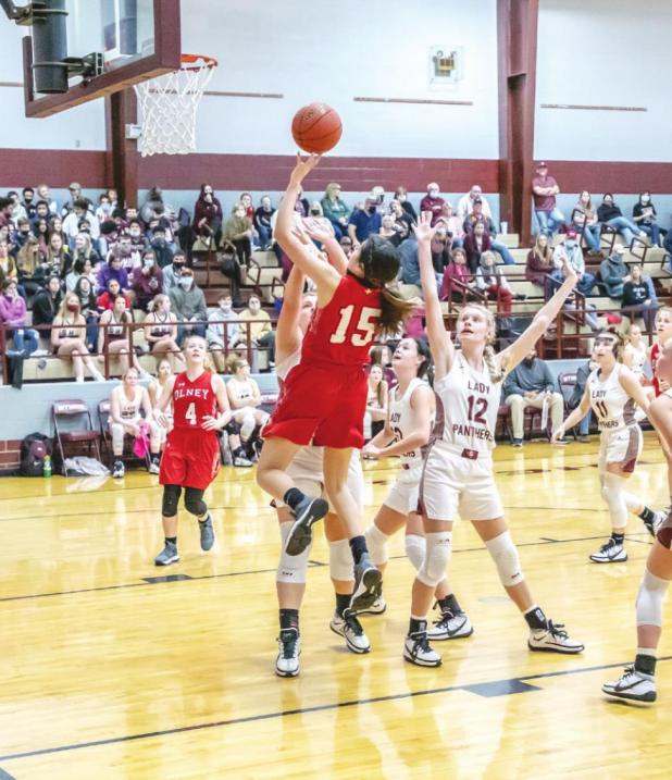 Lady Cubs vs. Panthers