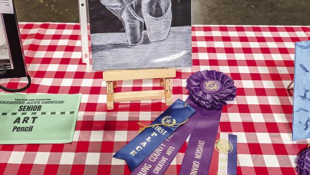 Sarah Northington, Senior Newcastle FFA Division Grand Champion and Best in Show Creative Arts Colored Chalk and Pencil Division. Photo by Will Sadler