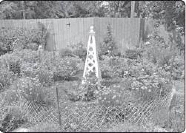 Protect your water landscape from hungry wildlife