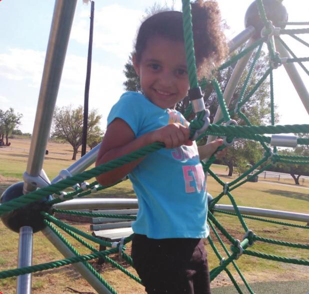New Park Equipment