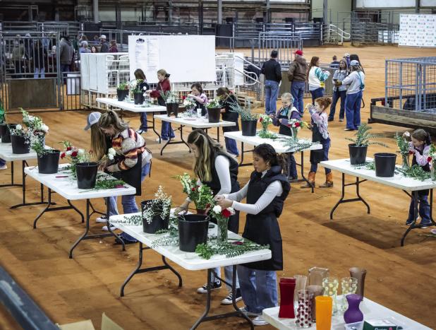 Youth shine at 2024 Junior Livestock Show