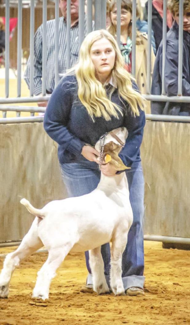 Chloe Neal (Olney FFA) Grand Champion - Goat Division.