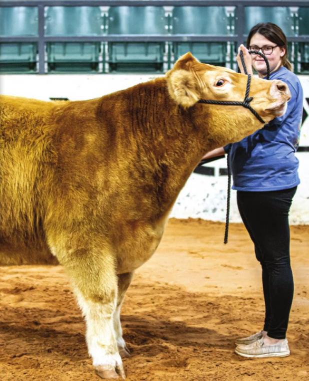 Youth Shine at the 2022 Junior Live Stock Show