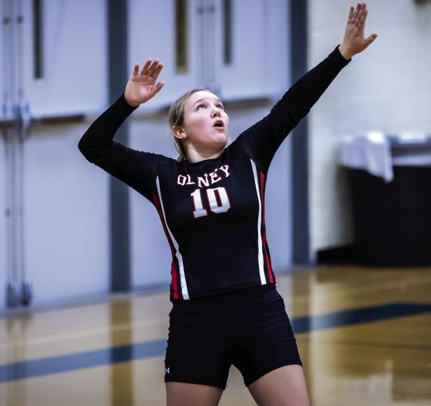 Volleyball District Honors