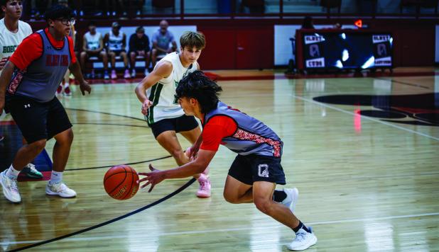 Cubs Host Spring Basketball League