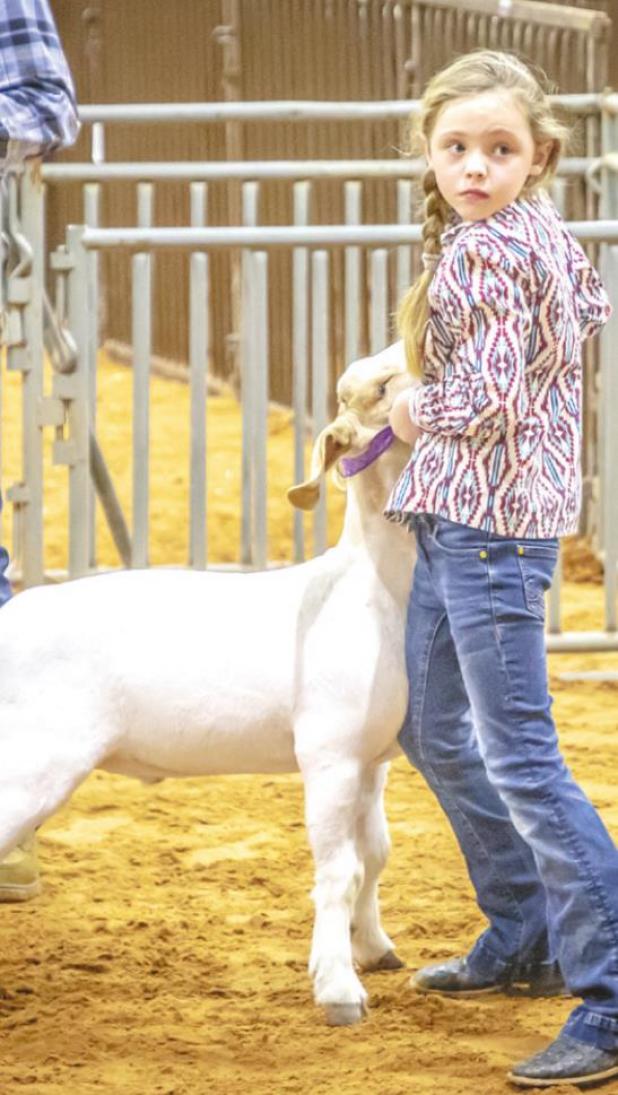 Adley Hardin, Newcastle FFA, placed 3rd in the Goat Light Weight Class 2 Division