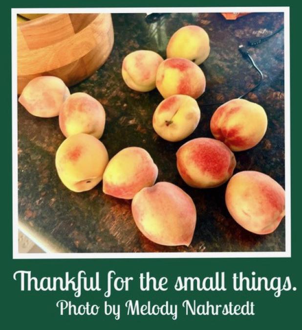 Thankfull for the small things